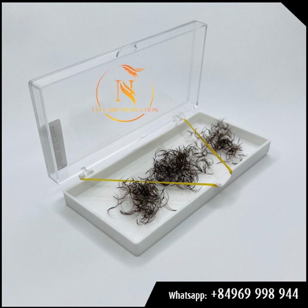 3D Brown Fan Eyelashes